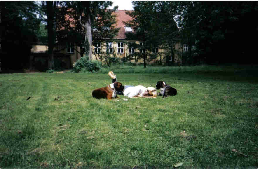 16 Jahre  mit Max und Baby